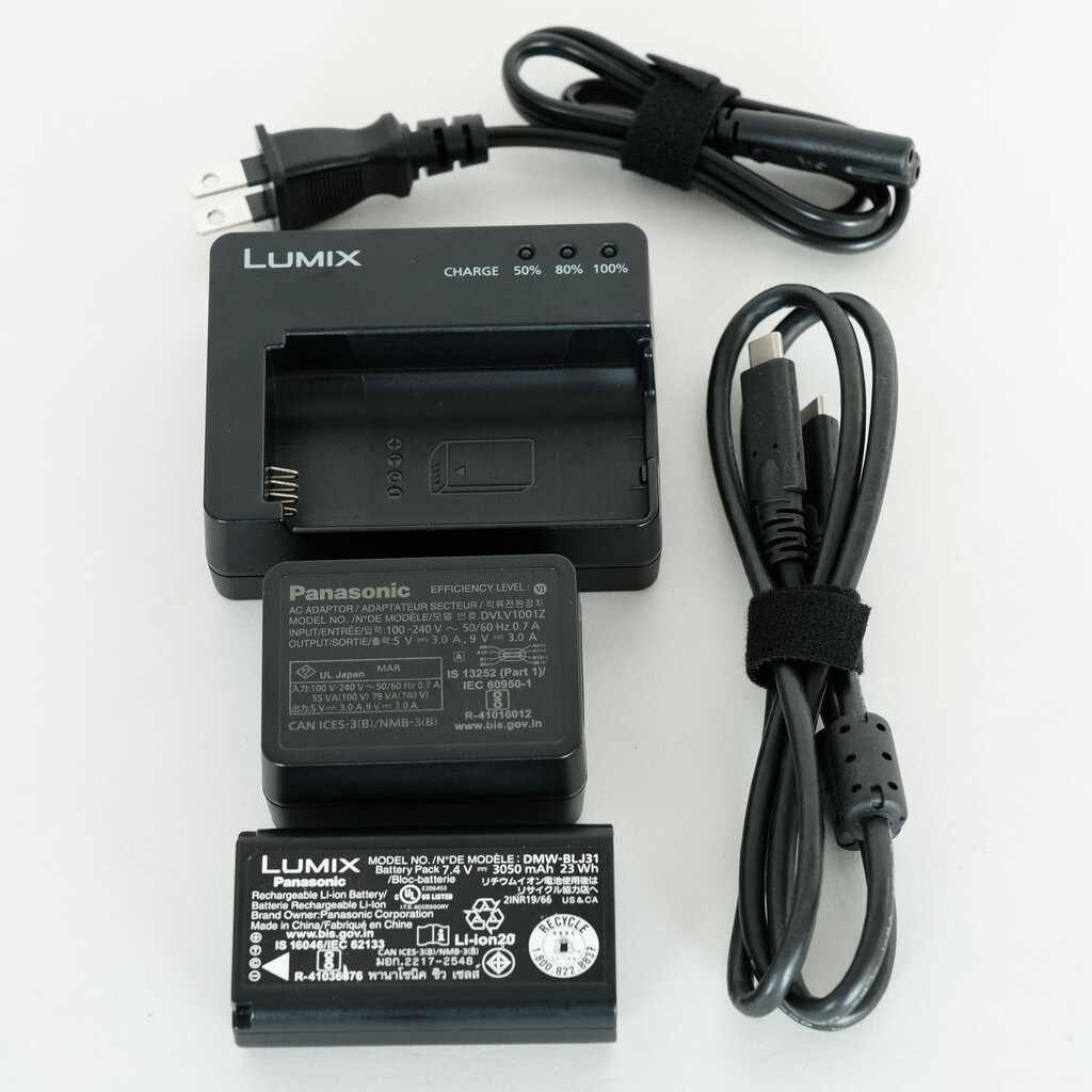 Panasonic LUMIX DC-S1