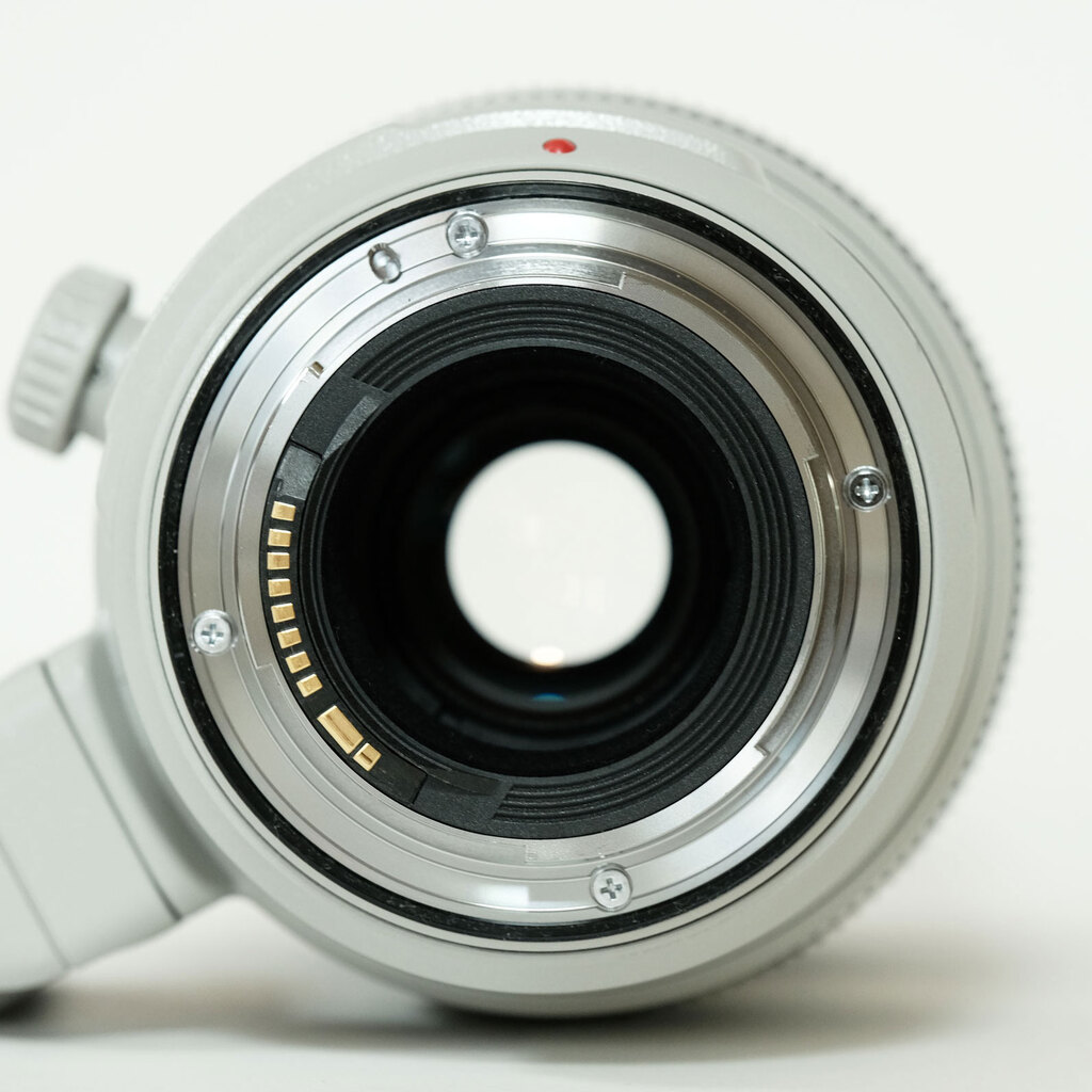 Canon EF100-400mm F4.5-5.6L IS II USM