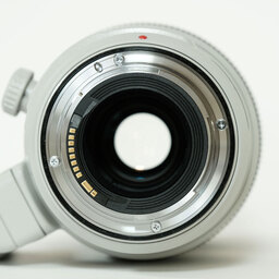 Canon EF100-400mm F4.5-5.6L IS II USM