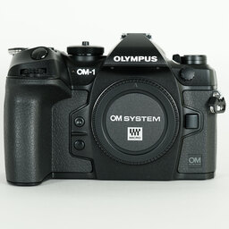 OM SYSTEM OM-1