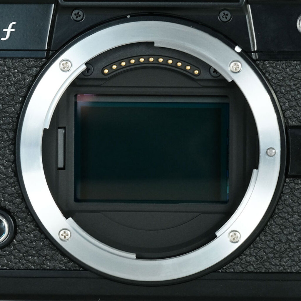 Nikon Z fの出品 | ONE SCENE（ワンシーン）