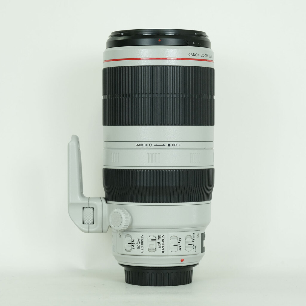 Canon EF100-400mm F4.5-5.6L IS II USM