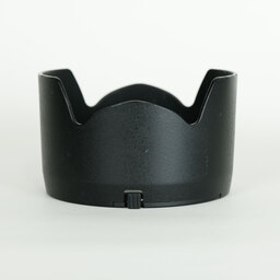 Nikon AF-S DX Zoom-Nikkor 17-55mm f/2.8G IF-ED