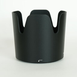 Nikon AF-P NIKKOR 70-300mm f/4.5-5.6E ED VR