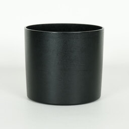 Canon EF100mm F2.8Lマクロ IS USM