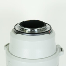 Canon RF200-800mm F6.3-9 IS USM