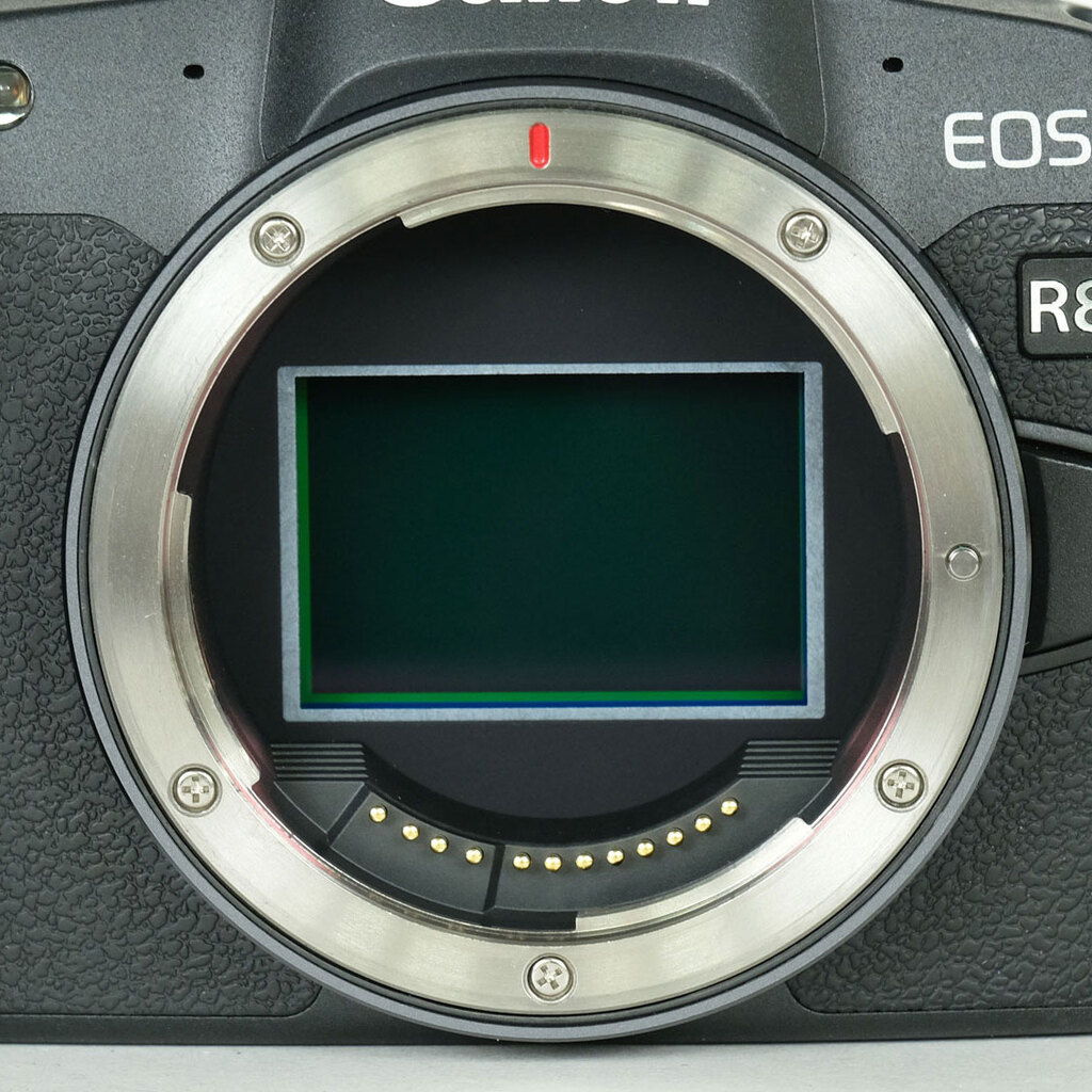 Canon EOS R8の出品 | ONE SCENE（ワンシーン）