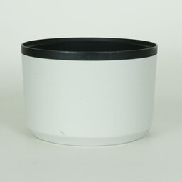 Canon RF70-200mm F2.8 L IS USM Canon RF70-200mm F2.8 L IS USM