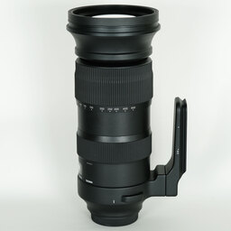 SIGMA 60-600mm F4.5-6.3 DG OS HSM | Sports [キヤノン用]