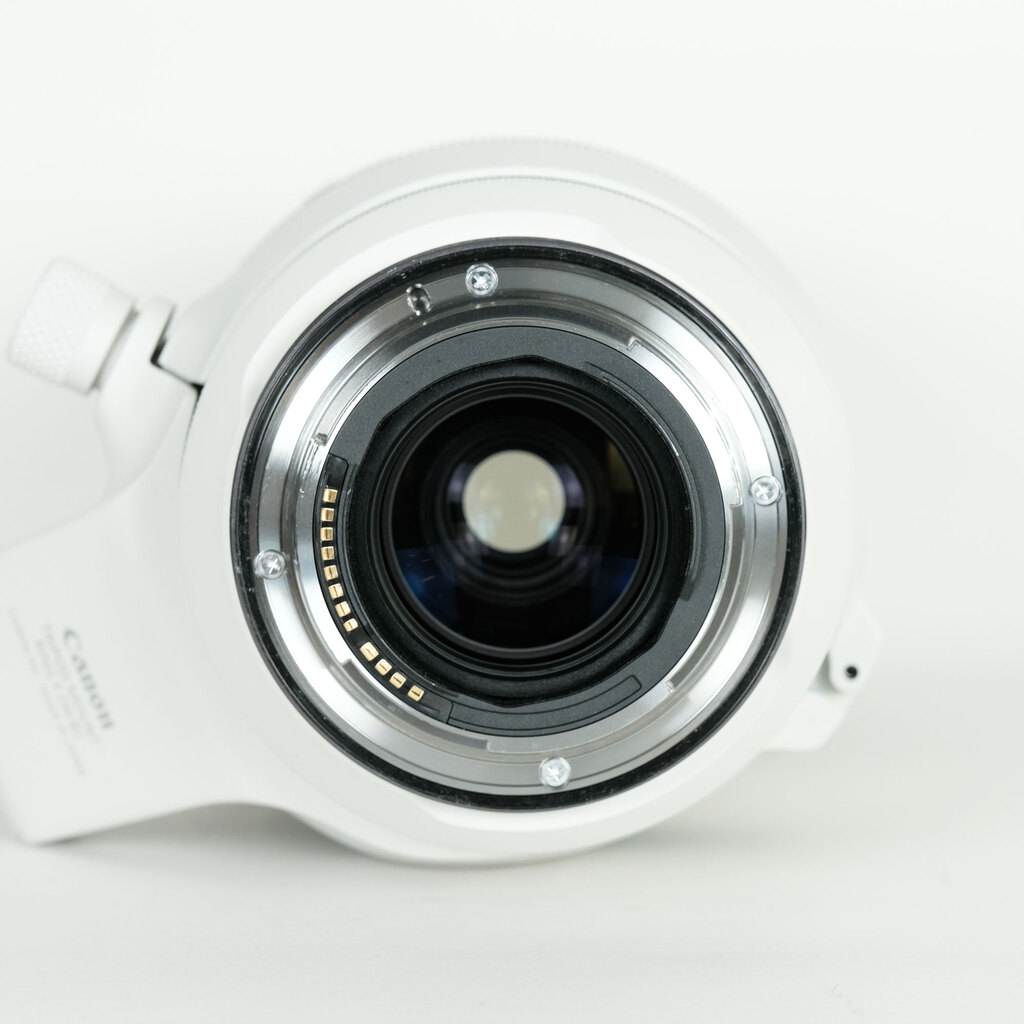 Canon RF100-500mm F4.5-7.1L IS USM