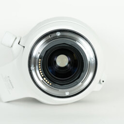 Canon RF100-500mm F4.5-7.1L IS USM