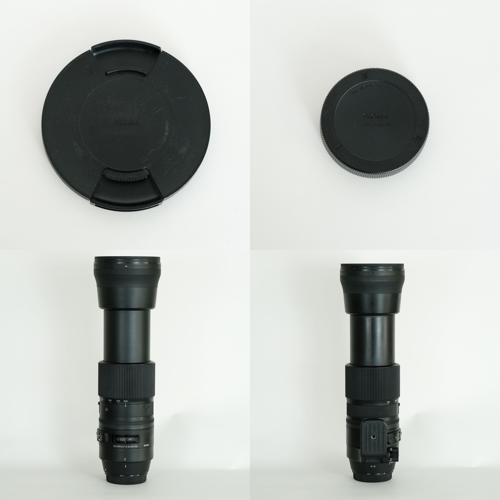 SIGMA 150-600mm F5-6.3 DG OS HSM | Contemporary [キヤノンEF用]