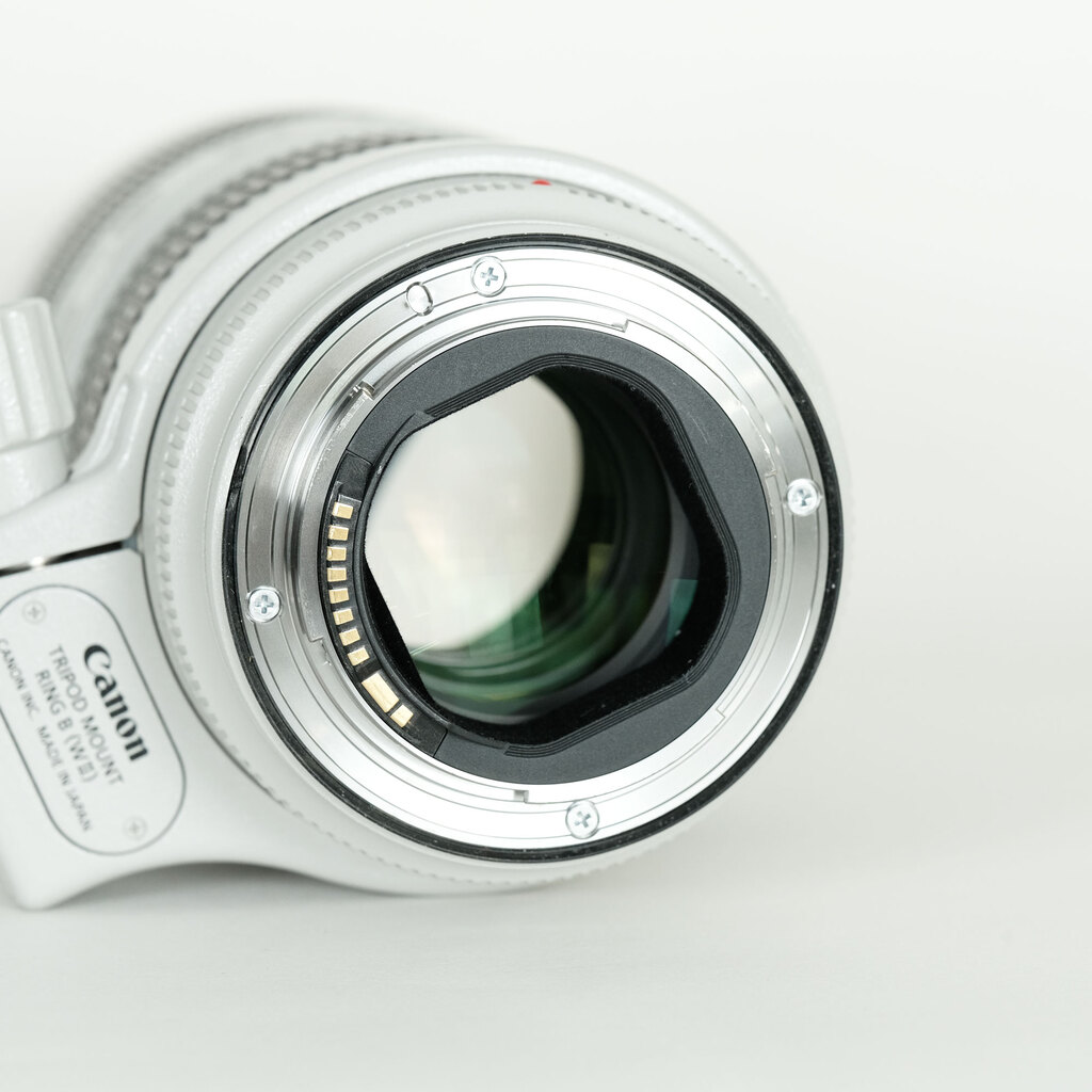 Canon EF70-200mm F2.8L IS III USM