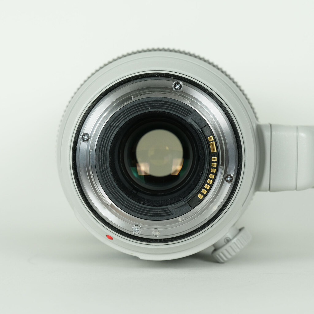 Canon EF100-400mm F4.5-5.6L IS II USM