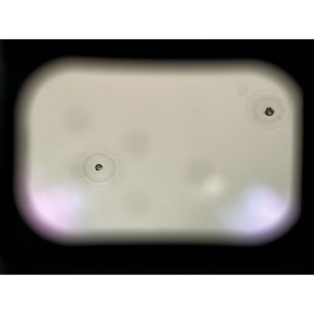 Canon EOS 5D MarkII ボディ Canon EOS 5D MarkII ボディ