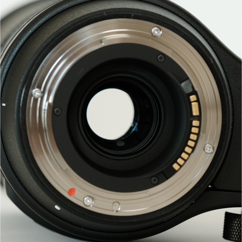 SIGMA 150-600mm F5-6.3 DG OS HSM | Contemporary [キヤノンEF用]