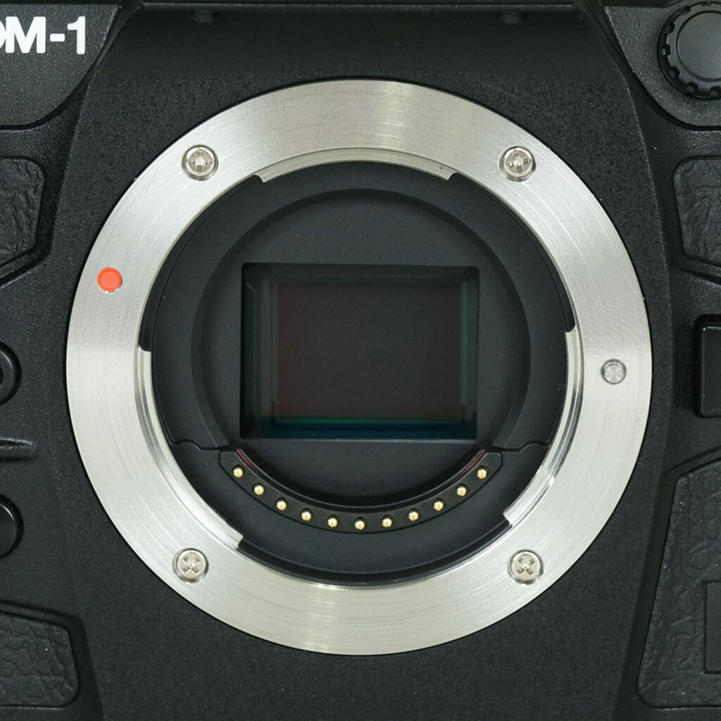 OM SYSTEM OM-1 Mark II