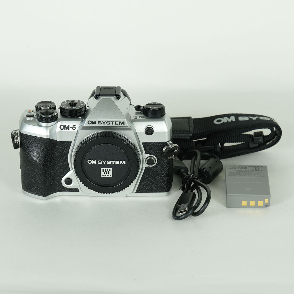OMシステム OM-5 MarkⅡボディ シルバー 26年7月購入 保証書あり OM SYSTEM OM-5 Mark II ボディ シルバーの出品 | ONE SCENE（ワンシーン）