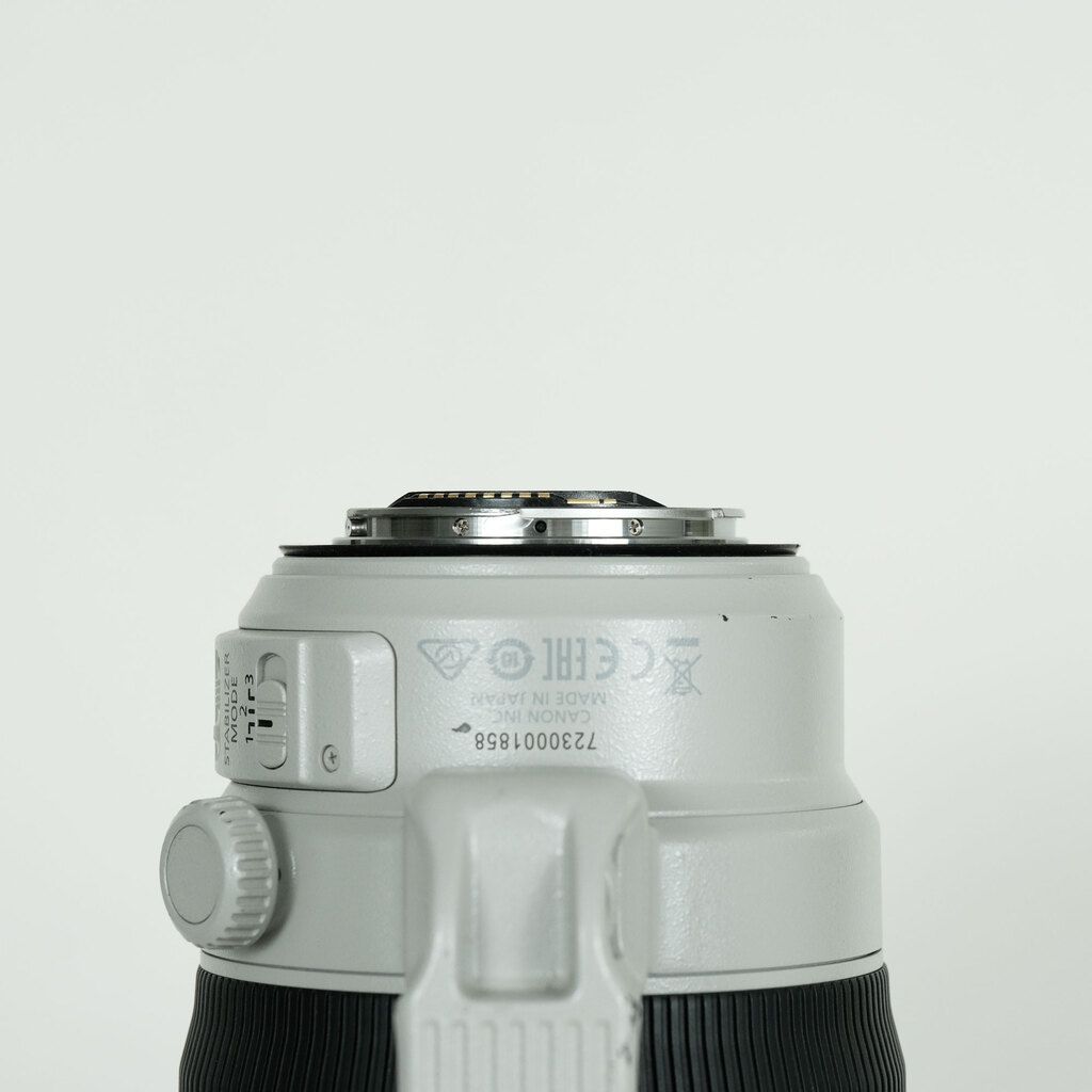 Canon EF100-400mm F4.5-5.6L IS II USM