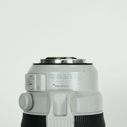 Canon EF100-400mm F4.5-5.6L IS II USM