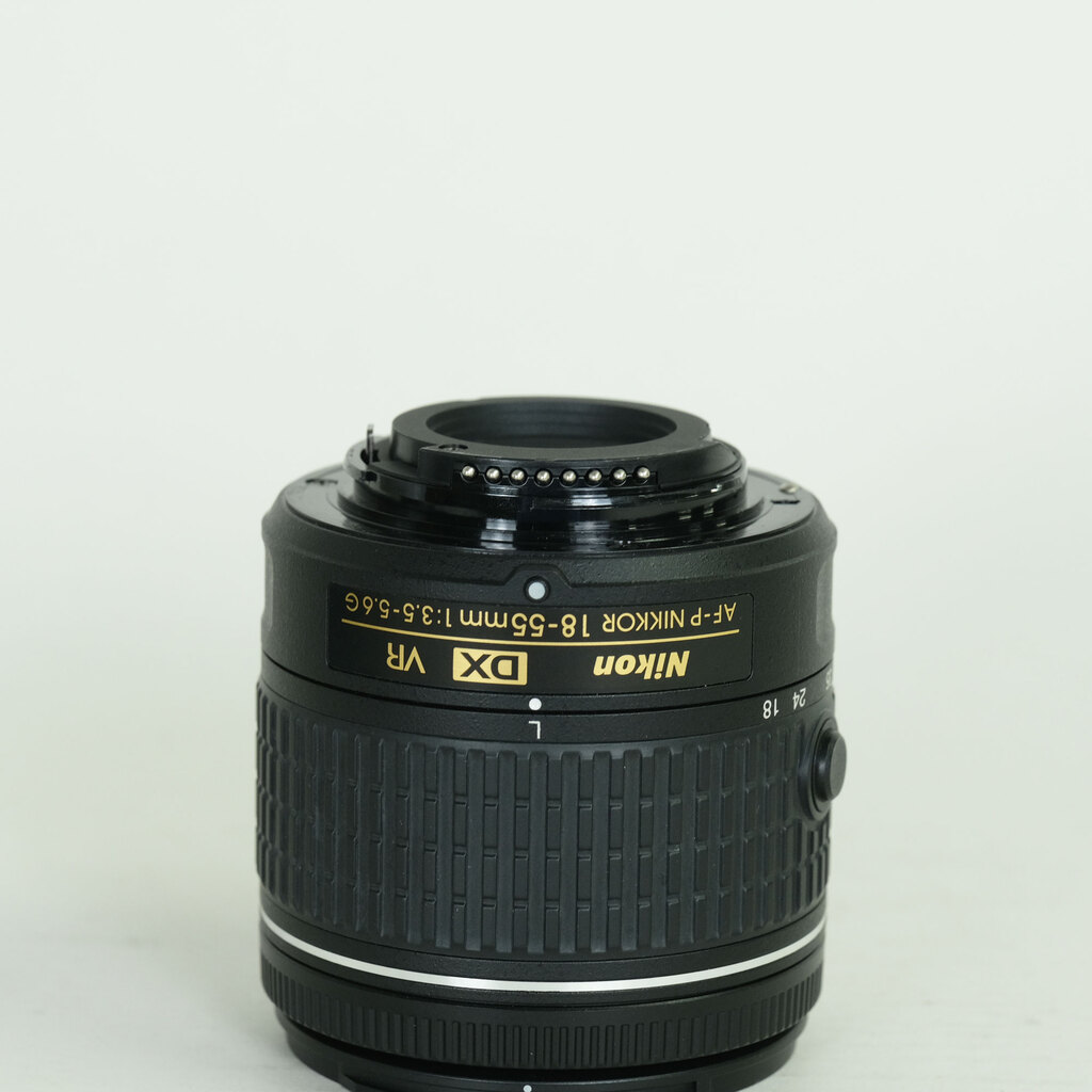 Nikon AF-P DX NIKKOR 18-55mm F3.5-5.6G VR