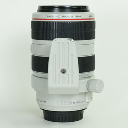 Canon EF70-300mm F4-5.6L IS USM