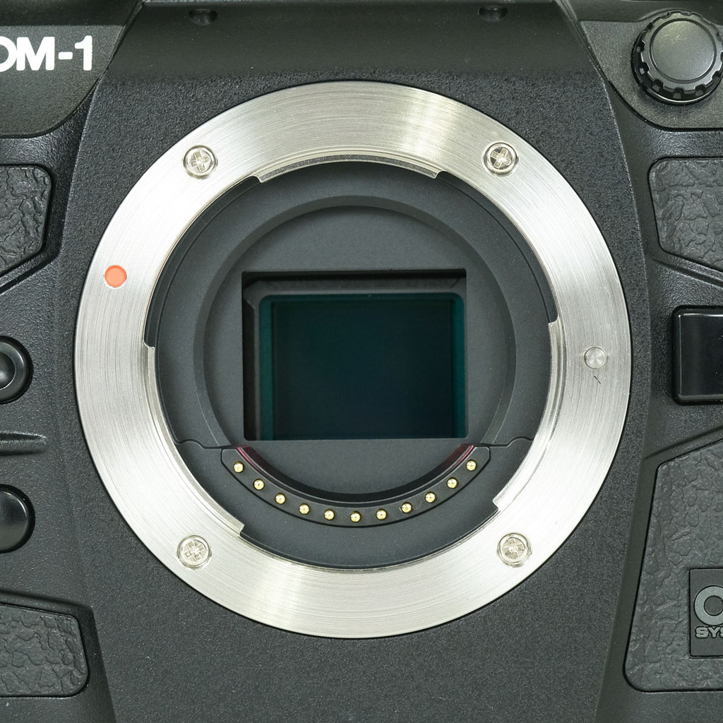 OM SYSTEM OM-1