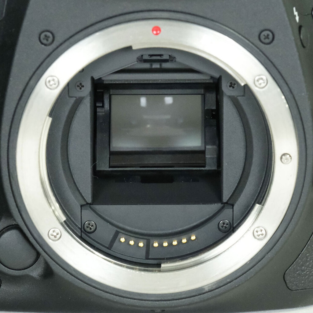 Canon EOS 7D Mark II