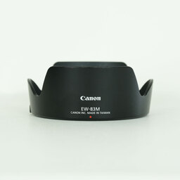 Canon EF24-105mm F4L IS USM