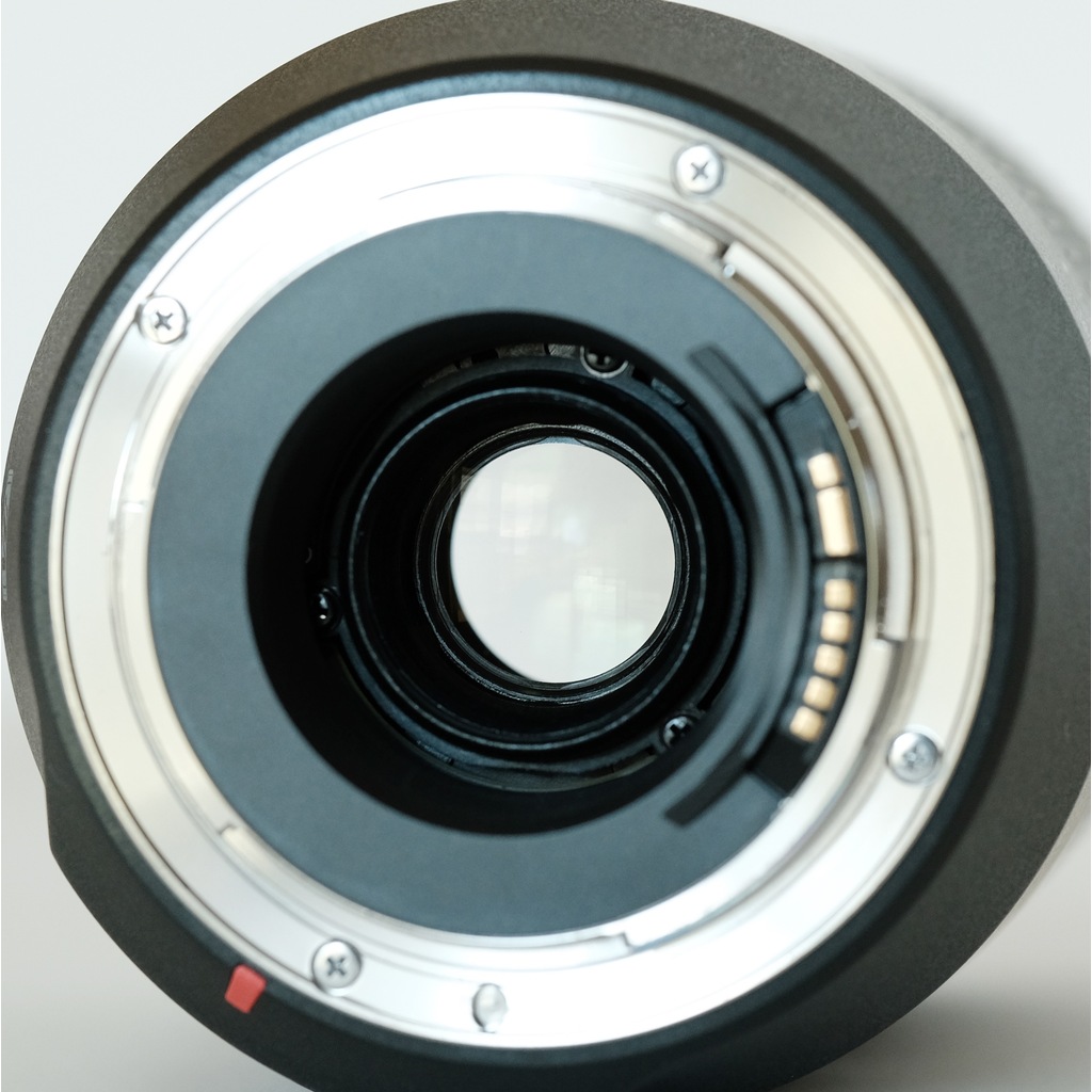 TAMRON SP 70-300mm F/4-5.6 Di VC USD (Model A030) [キヤノンEF用]の