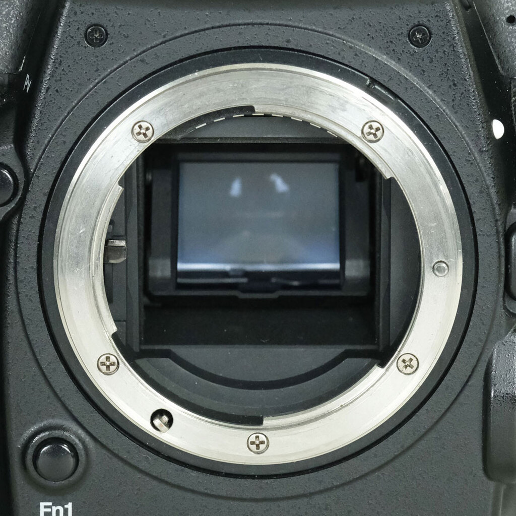 Nikon D500 Nikon D500