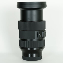 SIGMA 24-70mm F2.8 DG DN｜Art [ソニーE用]