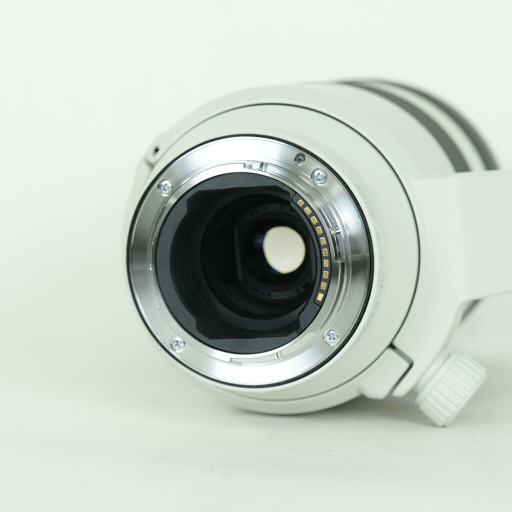 SONY FE70-200mm F4 Macro G OSS II SEL70200G2