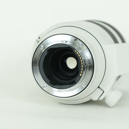 SONY FE70-200mm F4 Macro G OSS II SEL70200G2