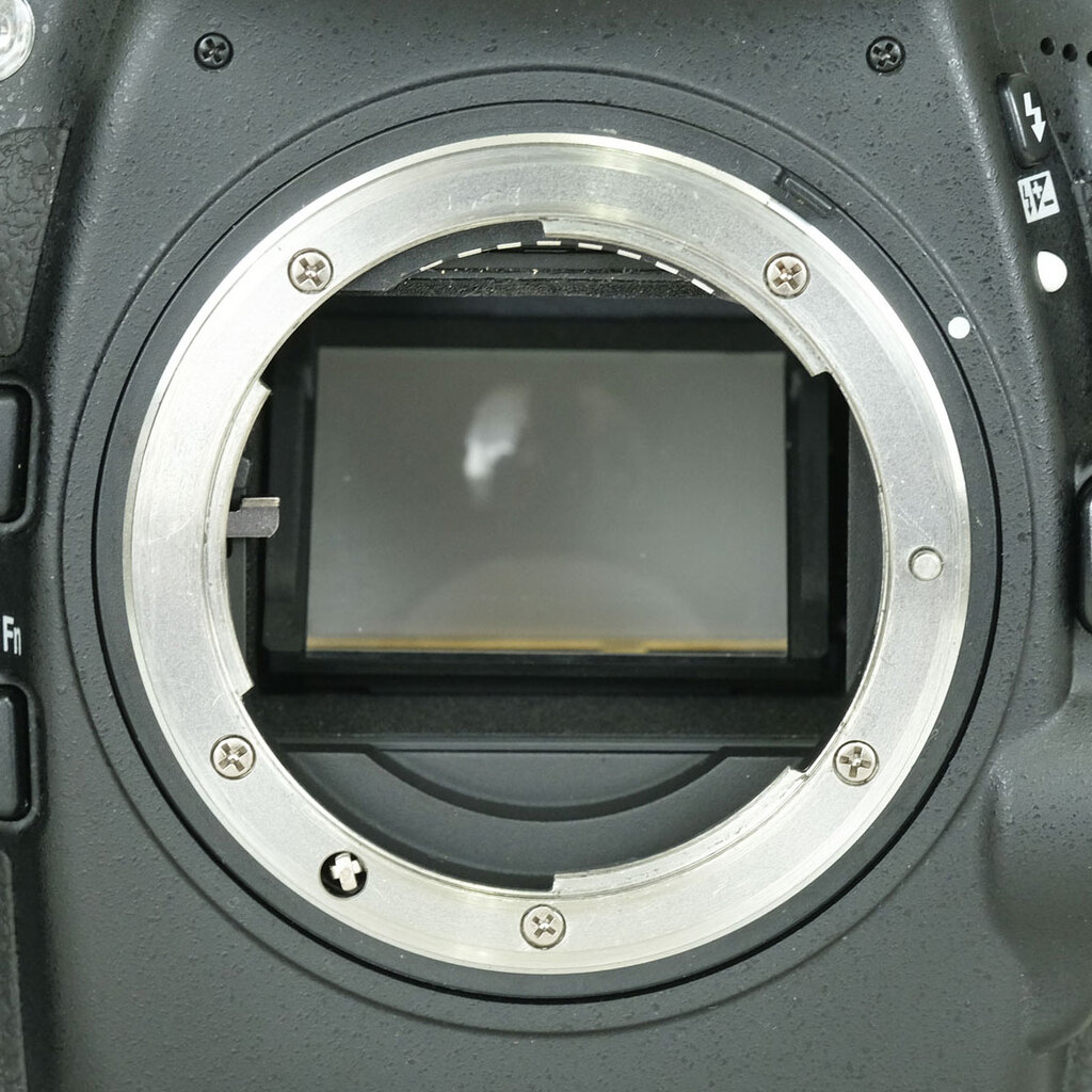 Nikon D800