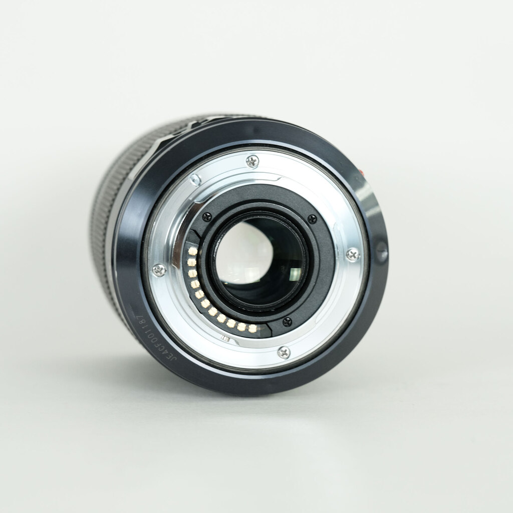 Panasonic LUMIX G X VARIO 35-100mm F2.8 POWER O.I.S. H-HS35100