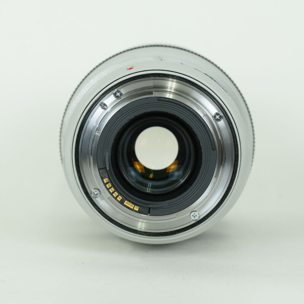 Canon EF70-300mm F4-5.6L IS USM