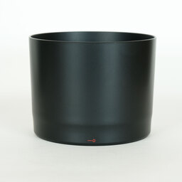 Canon RF800mm F11 IS STM