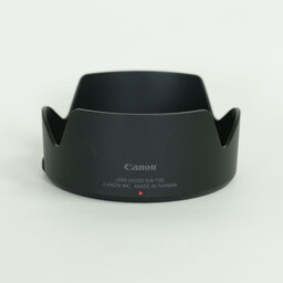 Canon RF28-70mm F2.8 IS STM