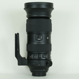 SIGMA 60-600mm F4.5-6.3 DG OS HSM | Sports [キヤノン用]
