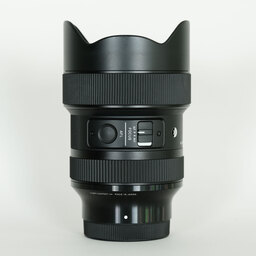 SIGMA 14-24mm F2.8 DG DN｜Art [ソニーE用]