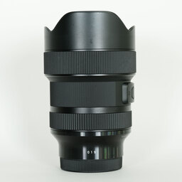 SIGMA 14-24mm F2.8 DG DN｜Art [ソニーE用]