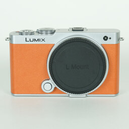 Panasonic LUMIX DC-S9