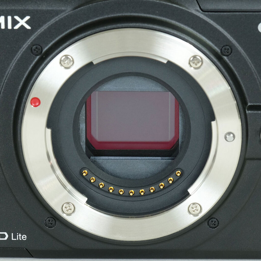 Panasonic LUMIX DMC-GF1-K エスプリブラック