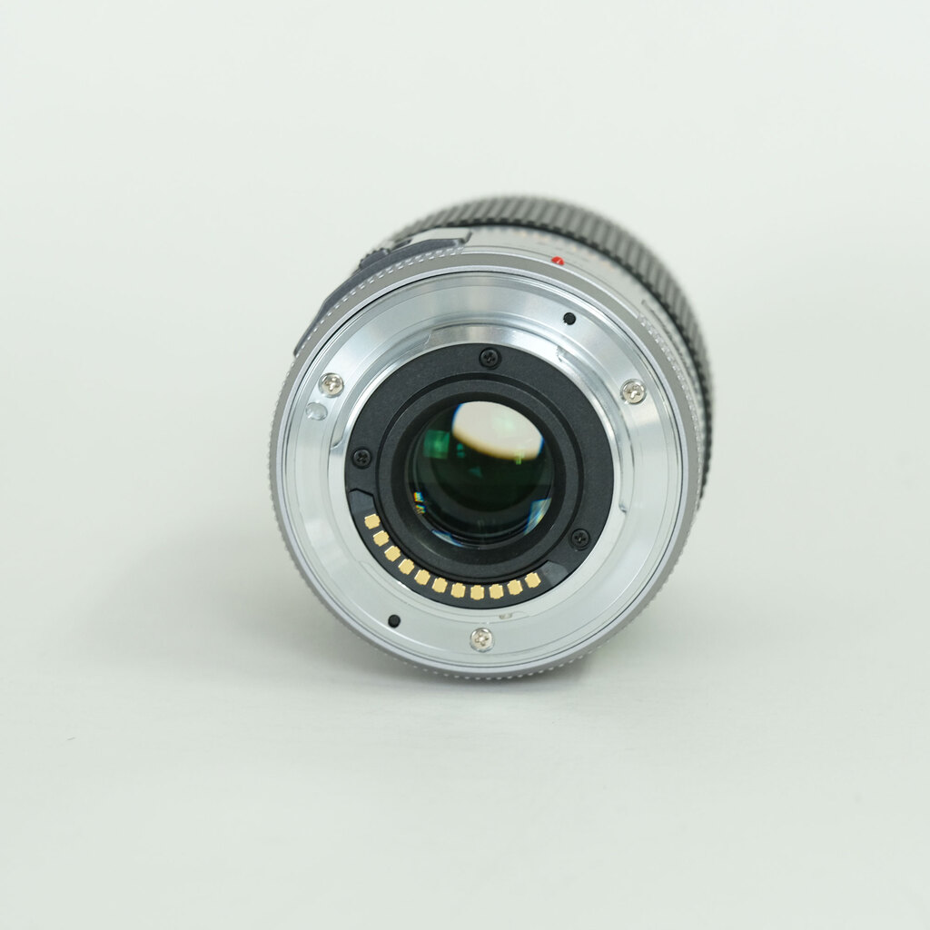 Panasonic LUMIX G X VARIO PZ 45-175mm / F4.0-5.6 ASPH. / POWER O.I.S.