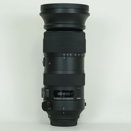 SIGMA 60-600mm F4.5-6.3 DG OS HSM | Sports [キヤノン用]