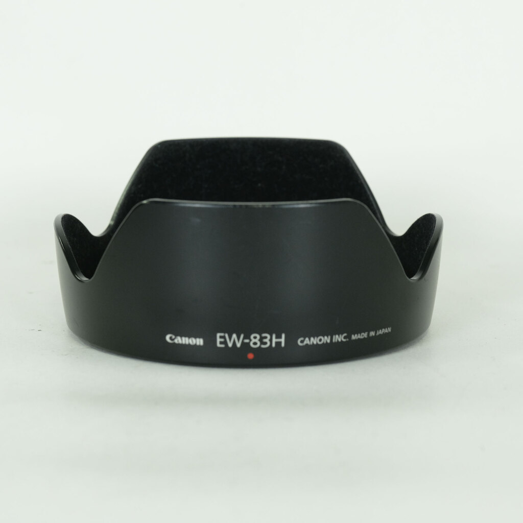 Canon EF24-105mm F4L IS USM