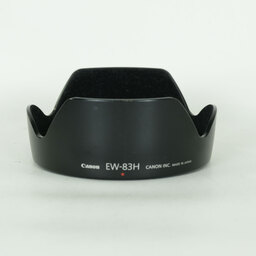 Canon EF24-105mm F4L IS USM