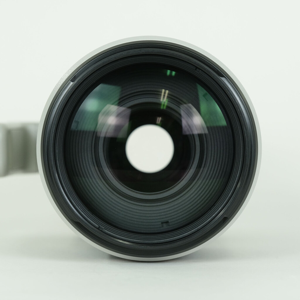 Canon EF100-400mm F4.5-5.6L IS II USM