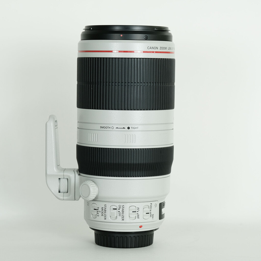 Canon EF100-400mm F4.5-5.6L IS II USM